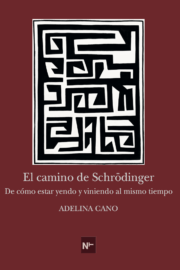 El camino de Schrördinger.